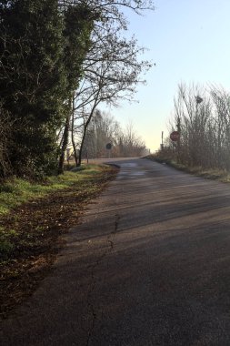 Kırsaldaki bir parkta Paved Yolu