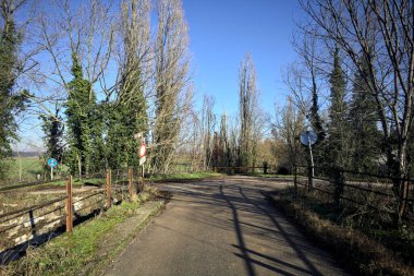 Toprak bir patikayla köprü arasındaki yol ayrımı