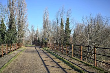 Toprak bir patikayla köprü arasındaki yol ayrımı
