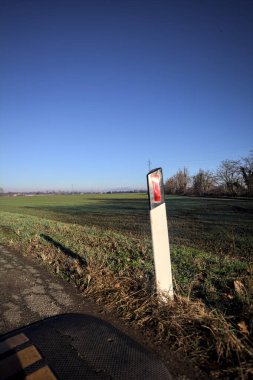 Parkta ağaçlarla çevrili bir alan.