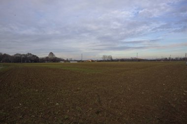 Tarlada yetiştirilmiş bir tarlanın sınırı