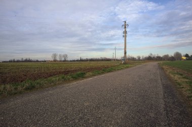 Dar bir yolun kenarındaki tarlada