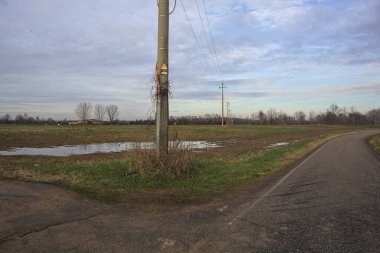 Dar bir yolun kenarındaki tarlada