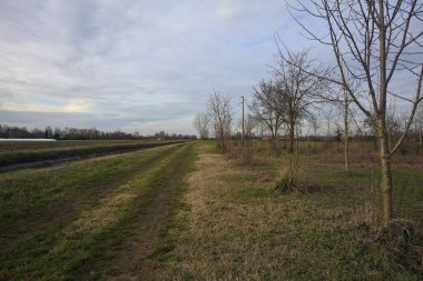 Bir koruluğun ve sulama kanalının yanındaki patikada.