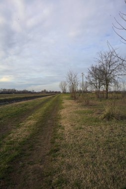 Bir koruluğun ve sulama kanalının yanındaki patikada.
