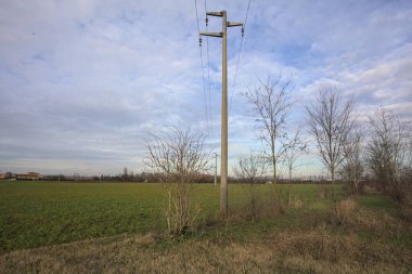 Üzerinde elektrik hattı olan çim alanı.