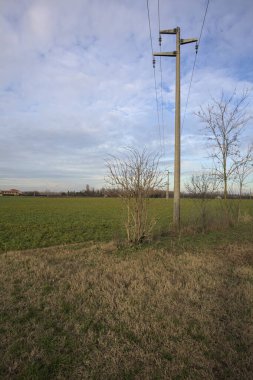 Üzerinde elektrik hattı olan çim alanı.