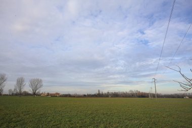 Üzerinde elektrik hattı olan çim alanı.