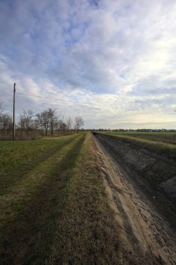 Bir koruluğun ve sulama kanalının yanındaki patikada.