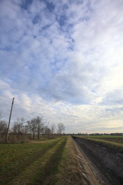 Bir koruluğun ve sulama kanalının yanındaki patikada.