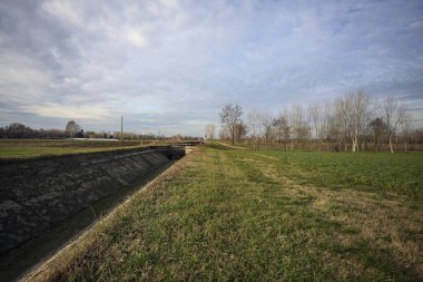 Bir koruluğun ve sulama kanalının yanındaki patikada.