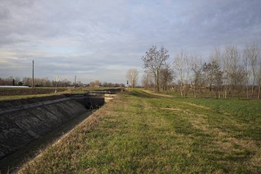 Bir koruluğun ve sulama kanalının yanındaki patikada.