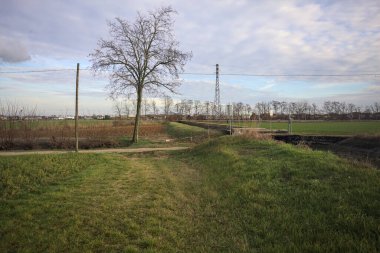 Çıplak ağaçlı toprak patika.