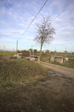 Çıplak ağaçlı toprak patika.