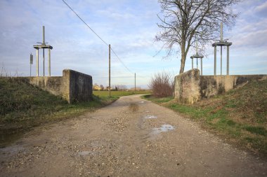 Çıplak ağaçlı toprak patika.