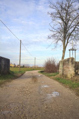 Çıplak ağaçlı toprak patika.