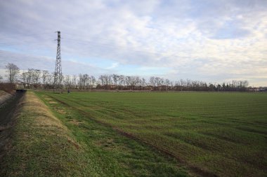 Sulama kanalı olan çim alanları