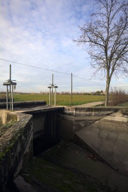 Çıplak ağaçlı toprak patika.