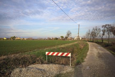 Ağaçlarla çevrili toprak yol