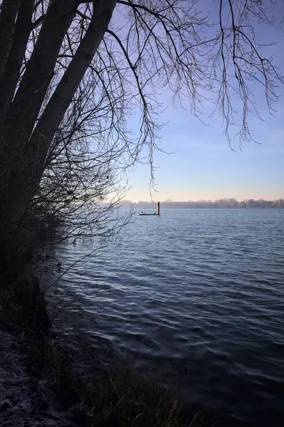 Parkta soğuk bir sabah gölünde