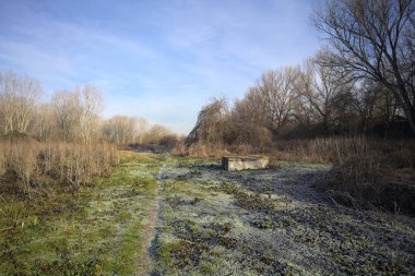 Parkta kırağı kaplayan otlak bir patika.
