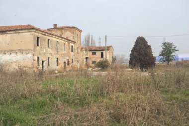 Bir kır evinin ön bahçesi ve giriş yolu.