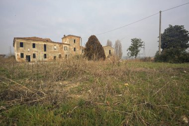 Bir kır evinin ön bahçesi ve giriş yolu.