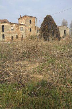 Bir kır evinin ön bahçesi ve giriş yolu.
