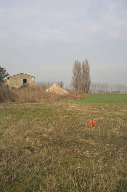 Terk edilmiş kır evi, bir tarlanın yanında.