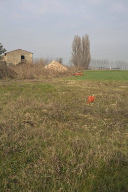 Terk edilmiş kır evi, bir tarlanın yanında.