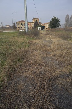 Terk edilmiş bir eve giden otlak bir yol.