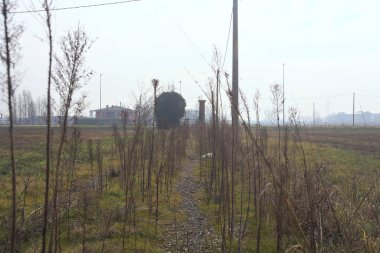 Bulutlu bir günde tarlaların yanında çimenli bir yol