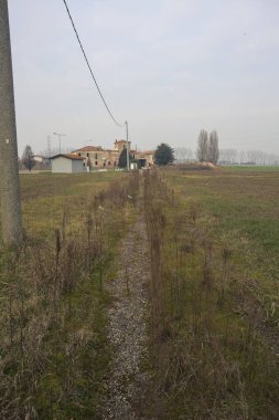 Terk edilmiş bir eve giden otlak bir yol.