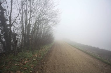 Sisteki çıplak ağaçlarla çevrili toprak yol.