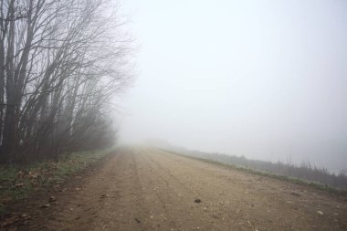 Sisteki çıplak ağaçlarla çevrili toprak yol.