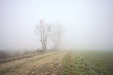 Sisteki çıplak ağaçlarla çevrili toprak yol.