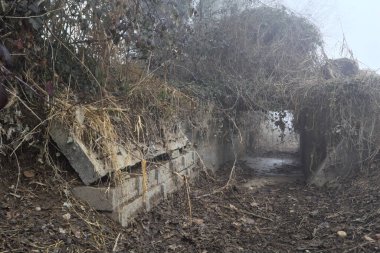 Dry irrigation channel bordered by bare trees