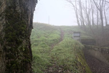Weir ve deresi sisli bir günde parkta