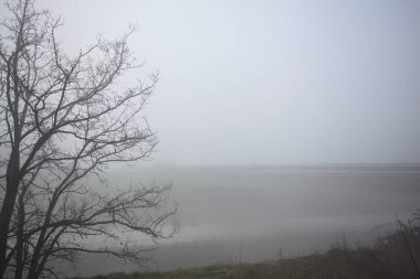 Çıplak bir ağaç tarafından çerçevelenmiş saptırma kanalı