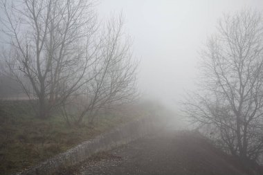 Sisteki beton setin üzerindeki çıplak ağaç.