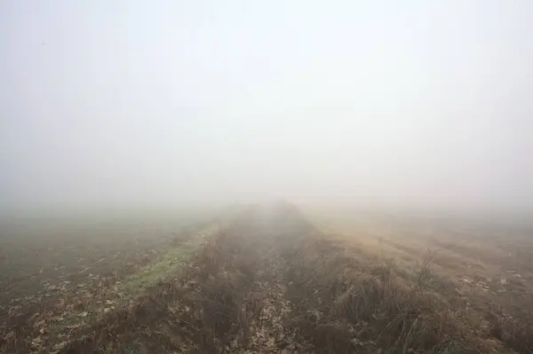 Dirt path between fields on a foggy day