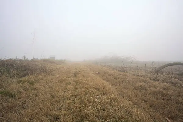 Dirt path between fields on a foggy day
