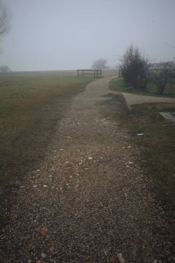 Parktaki bir açıklığın yanındaki toprak patika.