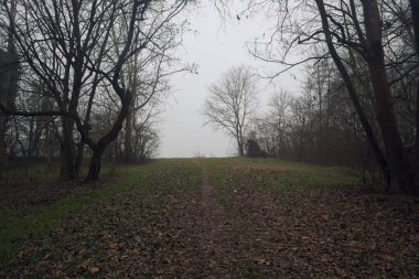 Sisteki bir göle giden toprak yol.