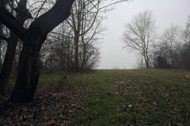 Sisteki bir göle giden toprak yol.