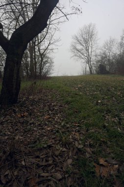 Sisteki bir göle giden toprak yol.