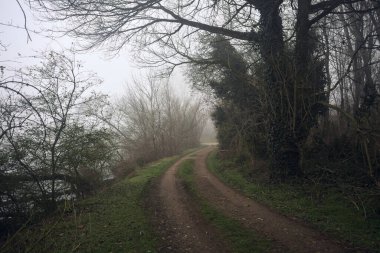 Göl kıyısındaki bir parkta toprak patika.