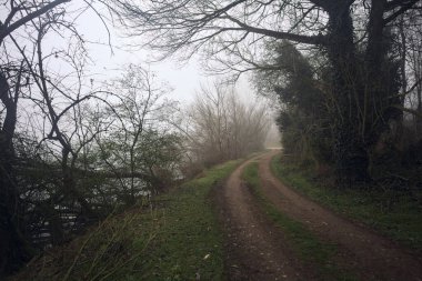 Göl kıyısındaki bir parkta toprak patika.