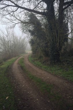 Göl kıyısındaki bir parkta toprak patika.