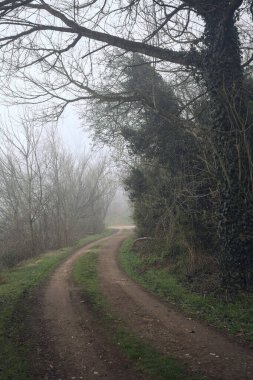 Göl kıyısındaki bir parkta toprak patika.